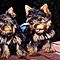 2-doll-face-tiny-yorkie-puppies-for-free-adoption